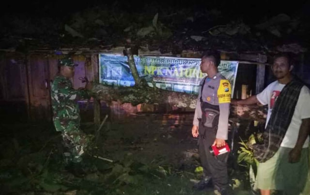 Puting Beliung Terjang Ngawi, 4 Rumah Rusak dan Puluhan Pohon Tumbang