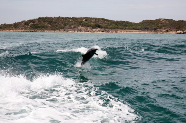 Shoalwater Islands Marine Par, Australia Barat. (Foto: Tourism Australia)