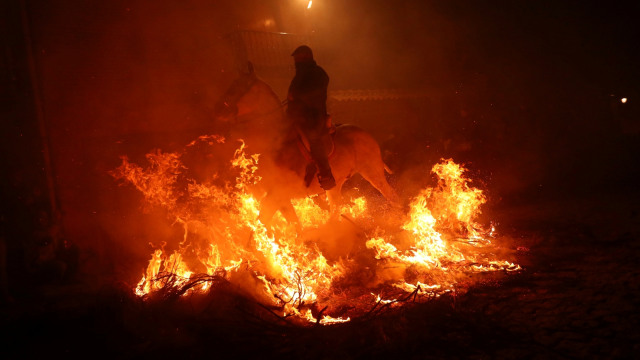 Seorang lelaki mengendarai kuda melewati api saat perayaan tahunan "Luminarias" pada malam Saint Anthony's day di desa San Bartolome de Pinares, Madrid, Spanyol, Rabu (16/1/2019).  (Foto: REUTERS/Susana Vera)
