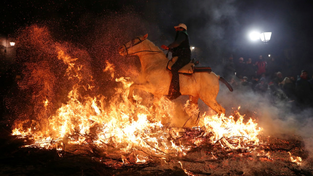 Seorang lelaki mengendarai kuda melewati api saat perayaan tahunan "Luminarias" pada malam Saint Anthony's day di desa San Bartolome de Pinares, Madrid, Spanyol, Rabu (16/1/2019).  (Foto: REUTERS/Susana Vera)