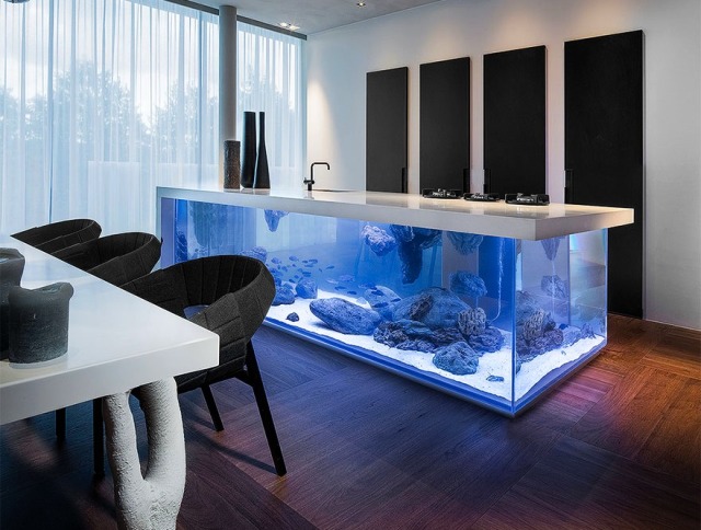 Jenis Gaya Dan Tipe Aquascape Yang Cocok Untuk Rumah Minimalis
