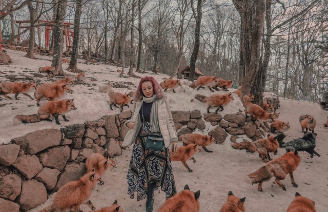 Travel Blogger Marischka Prudence bersama kawanan rubah di Zao Fox Village, Jepang (Foto: Dok. Marischka Prudence)