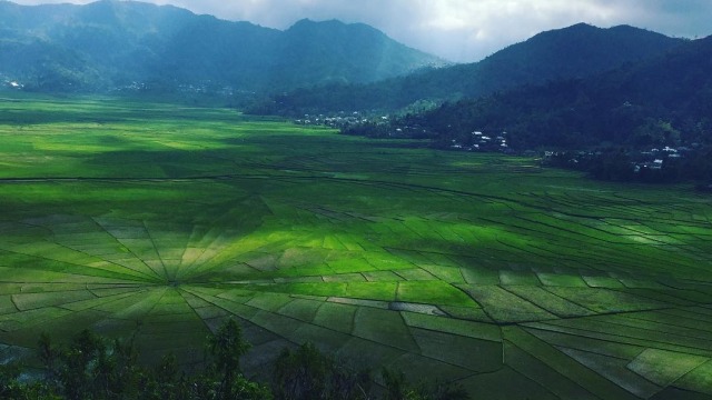 Sawah Lodok di NTT (Foto: Instagram/@the_fadli)