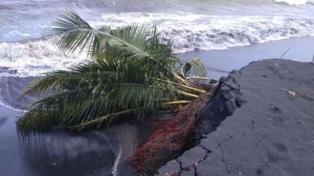 Abrasi Pantai Selatan Lumajang.