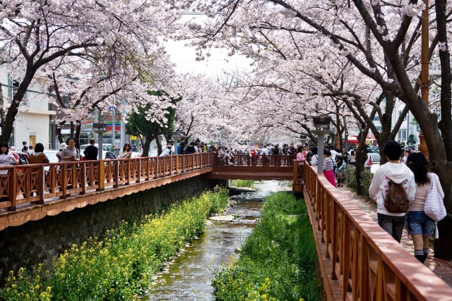 Yeojwacheon Watercourse. (Foto: Korea Tourism Organization)