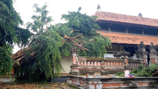 Pohon tumbang mengakibatkan rusaknya atap pada Wantilan Jaya Sabha, Selasa (22/1). (Foto: Denita BR Matondang/kumparan)