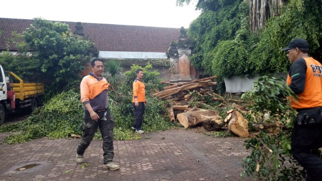 Petugas sedang mengangkut ranting-ranting dan bagian pohon yang tumbang, Selasa (22/1). (Foto: Denita BR Matondang/kumparan)