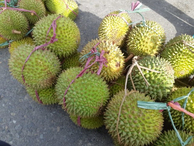 Durian Mulai Menyerbu Ambon