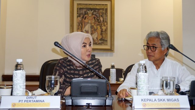 Rapat Terbatas Soal Minyak dan Gas Bumi di Kantor Presiden, Nicke Widyawati, Dwi Soetjipto