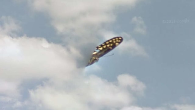 Bagian saya kupu-kupu yang disangka sebagai UFO alien (Foto: Google Maps)