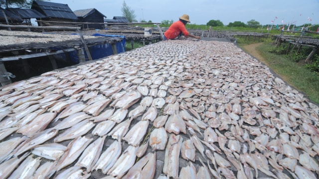 Warga menjemur ikan di Pantai Jumiang, Pamekasan, Jawa Timur, Selasa (22/01).  (Foto: ANTARA FOTO/Saiful Bahri)