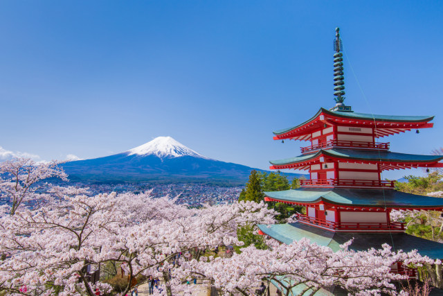 Sakura dengan latar belakang Gunung Fuji, Jepang. (Foto: Shutter Stock)