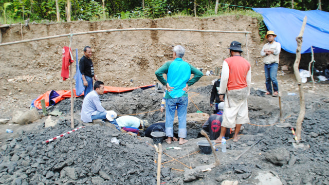 Proses penggalian fosil Stegodon di Majalengka (Foto: Dok. ITB)
