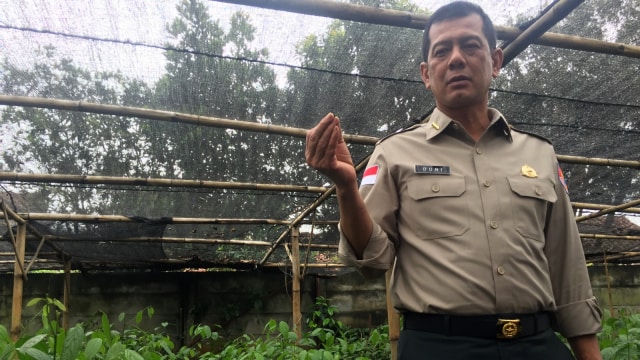 Kepala BNPB, Letjen Doni Monardo, di Lahan Pembibitan Pohon milik Budiasi, Bogor. (Foto: Andreas Ricky Febrian/kumparan)