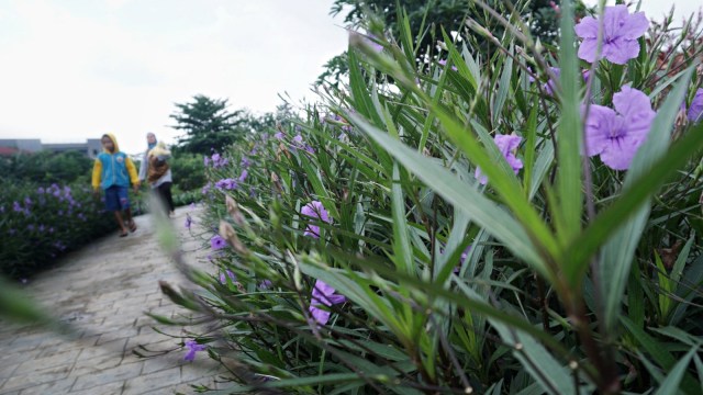 Ragam tanaman dapat dijumpai di Taman Piknik, Cipinang Melayu, Jakarta. (Foto: Jamal Ramadhan/kumparan)