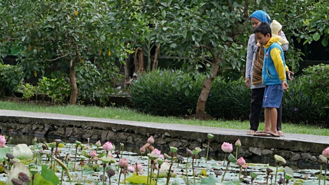 Pengunjung sedang melihat berbagai tanaman yang sudah ditanam di lokasi wisata Taman Piknik, Cipinang Melayu, Jakarta. (Foto: Jamal Ramadhan/kumparan)