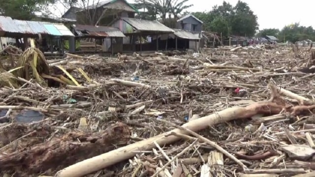 Pantai di Kota Makassar yang Kini Dipenuhi Sampah Kayu Gelondongan