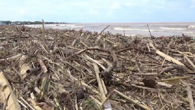 Pantai di Kota Makassar yang Kini Dipenuhi Sampah Kayu Gelondongan (1)