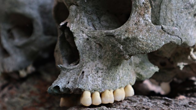 Wujud kepala manusia dengan gigi yang tak lengkap di Erong Lombok Parinding (Foto: Helinsa Rasputri/kumparan)