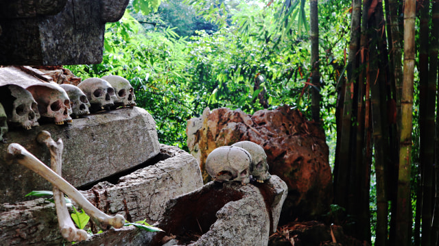 Situs pemakaman yang diselimuti pepohonan bambu (Foto: Helinsa Rasputri/kumparan)