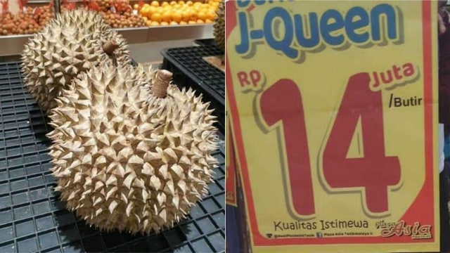 Durian J-Queen yang dibanderal dengan harga Rp 14 juta perbutir
