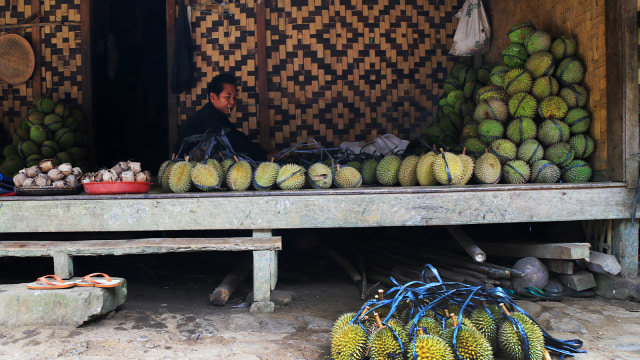 Warga menjual buah deren di kawasan wisata Baduy. (Foto: Aditia Noviansyah/kumparan)