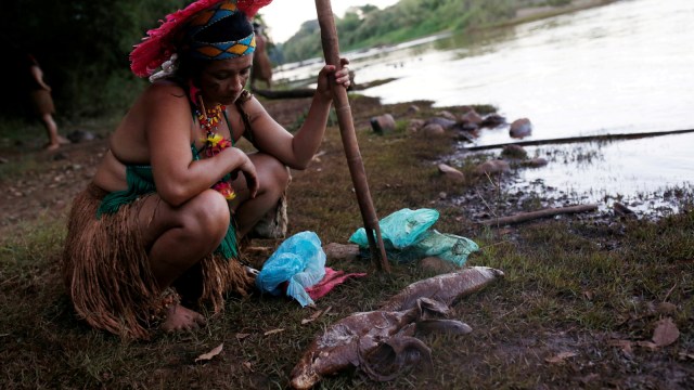 Seorang wanita Pribumi dari suku Pataxo Ha-ha-hae melihat ikan mati di dekat sungai Paraopeba. (Foto: REUTERS/Adriano Machado)