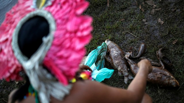 Seorang wanita Pribumi dari suku Pataxo Ha-ha-hae melihat ikan mati di dekat sungai Paraopeba. (Foto: REUTERS/Adriano Machado)