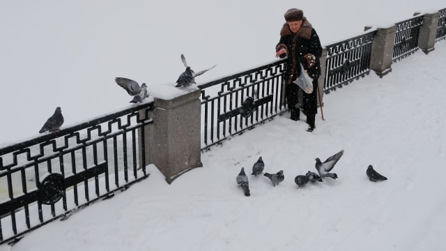 Seorang warga memberi makan burung di Moskow, Rusia. (Foto: REUTERS/Maxim Shemetov)