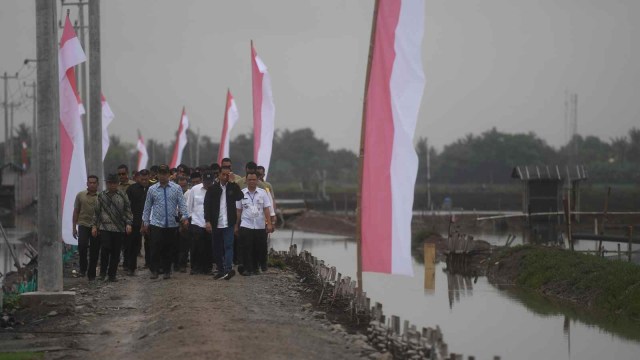 Presiden Joko Widodo (tengah) berjalan menuju lokasi panen raya udang di Muara Gembong, Bekasi, Jawa Barat, Rabu (30/1/2019).   (Foto: ANTARA FOTO/Akbar Nugroho Gumay/ama.)