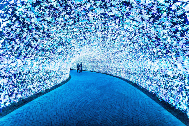 Lampu berwarna biru menghiasi terowongan di Nabana no Sato. (Foto: Flickr/Ocelyn)
