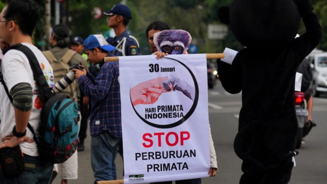 Foto: Profauna Indonesia Ajak Masyarakat Hentikan Perburuan Primata (1)