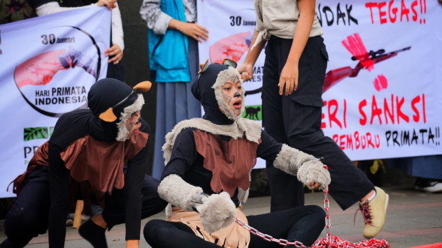 Foto: Profauna Indonesia Ajak Masyarakat Hentikan Perburuan Primata (2)