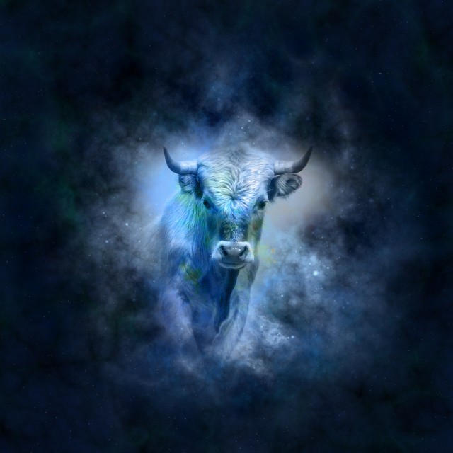horoscope-639127.jpg