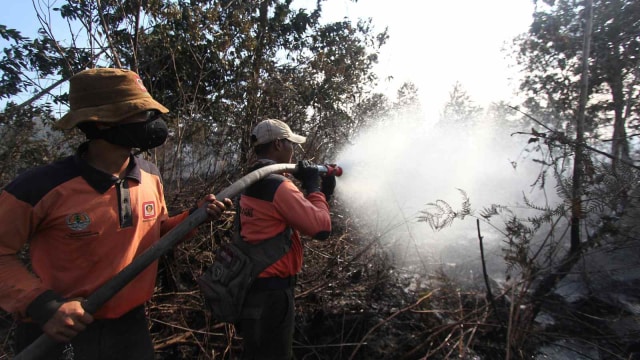 Petugas Manggala Agni memadamkan sisa api yang membakar semak belukar dan pepohonan akasia di kawasan hutan konservasi, Medang Kampai, Dumai, Riau, Minggu (3/2/2019). Foto: ANTARA FOTO/Aswaddy Hamid