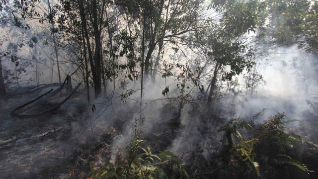 Api menjalar membakar semak belukar dan pepohonan akasia di kawasan hutan konservasi, Medang Kampai, Dumai, Riau, Minggu (3/2/2019). Foto: ANTARA FOTO/Aswaddy Hamid
