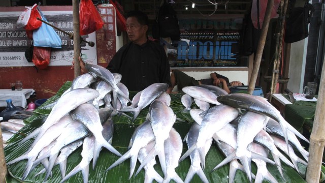 Salah satu penjual ikan Bandeng di Rawa Belong, Jakarta Barat. Foto: Iqbal Firdaus/kumparan