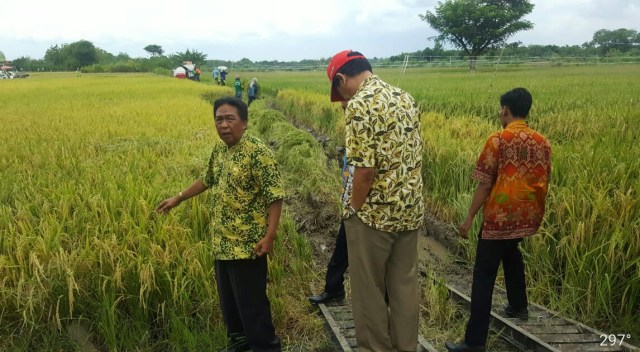 Pendapatan Panen Rp1,5 Miliar, Kadisperta Apresiasi HIPPA di Kanor