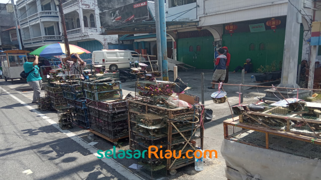 KANDANG-KANDANG burung pipit berjejearan di luar Vihara Hok Ann Kiong, Jalan Yos Sudarso, Bengkalis. 