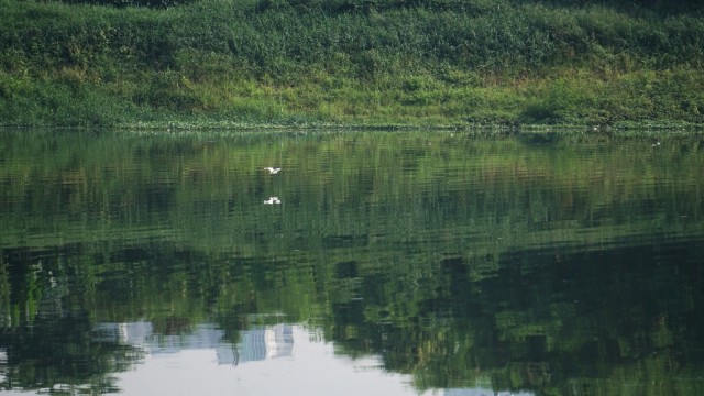 Foto: Taman Kota Ria Rio, Pilihan Rekreasi Gratis di Jakarta Timur ...