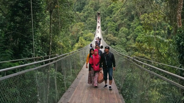 Jembatan Situ Gunung di Sukabumi Foto: Aria Sankhyaadi/kumparan