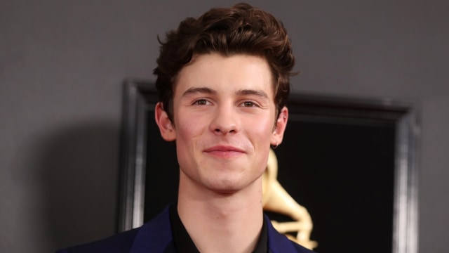 Shawn Mendes di Grammy Awards 2019, Los Angeles, California, Amerika Serikat. Foto: REUTERS/Lucy Nicholson