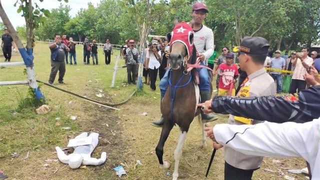 Rekontrusksi, Pacuan Kuda, Lumajang