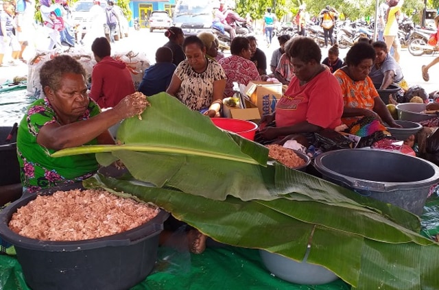 Puluhan Mama Suku Malind sedang membuat Sagu Sef. (BumiPapua.com/Abdel) 