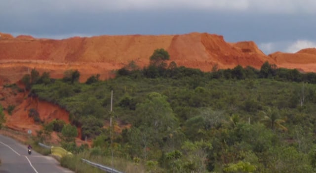 Tambang Bouksit di Bintan Bukti Dampak Land Clearing