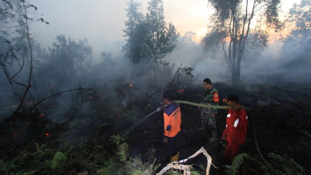 Foto: Kebakaran Hutan Dan Lahan Di Riau Meluas | Kumparan.com