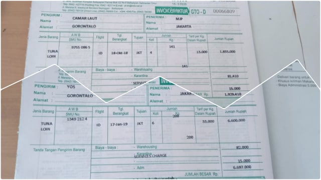 Tarif kargo udara yang naik tinggi. Foto: Dok. Istimewa