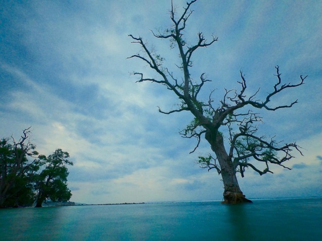 Foto: Lhok Mee, Tempat Wisata Akhir Pekan di Aceh (226220)