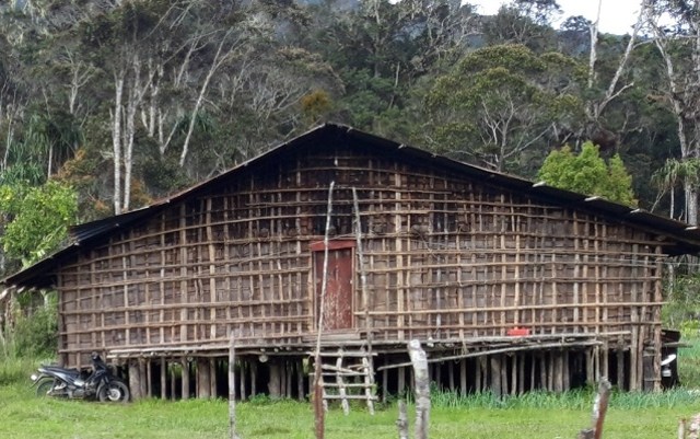Model rumah adat Suku Arfak, Kaki Seribu. (BumiPapua.com/Irsye Simbar)