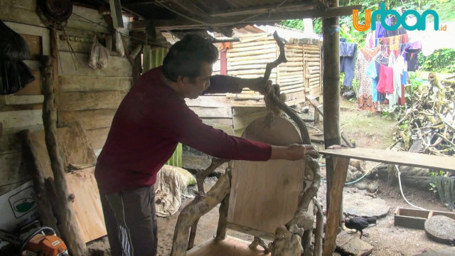 Erlan menunjukkan saat proses penyusunan akar teh menjadi sebuah kursi (foto: Urban Id)